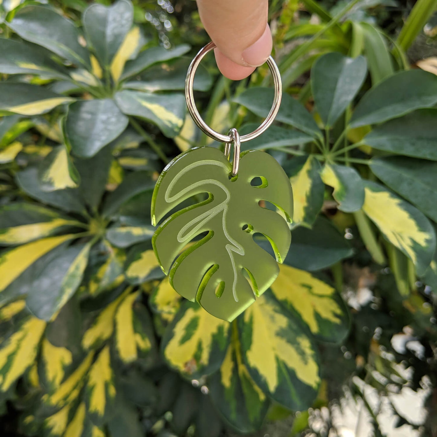 Monstera green leaf-shaped keyring with silver ring held in front of green foliage