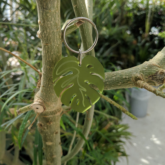 Green monstera leaf-shaped keyring hanging from a branch with a blurred Palm House at Sefton Park background