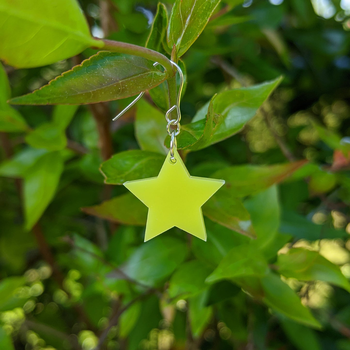 *Sample* Small Star Earrings