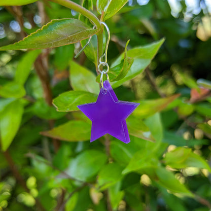 *Sample* Small Star Earrings