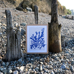 Load image into Gallery viewer, Blue Seaweed Print - The Moonlit Press
