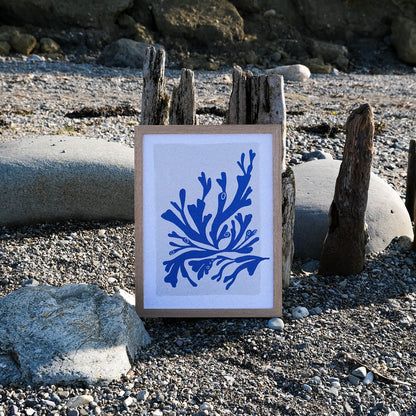 Large Framed Seaweed Print on the Beach- The Moonlit Press