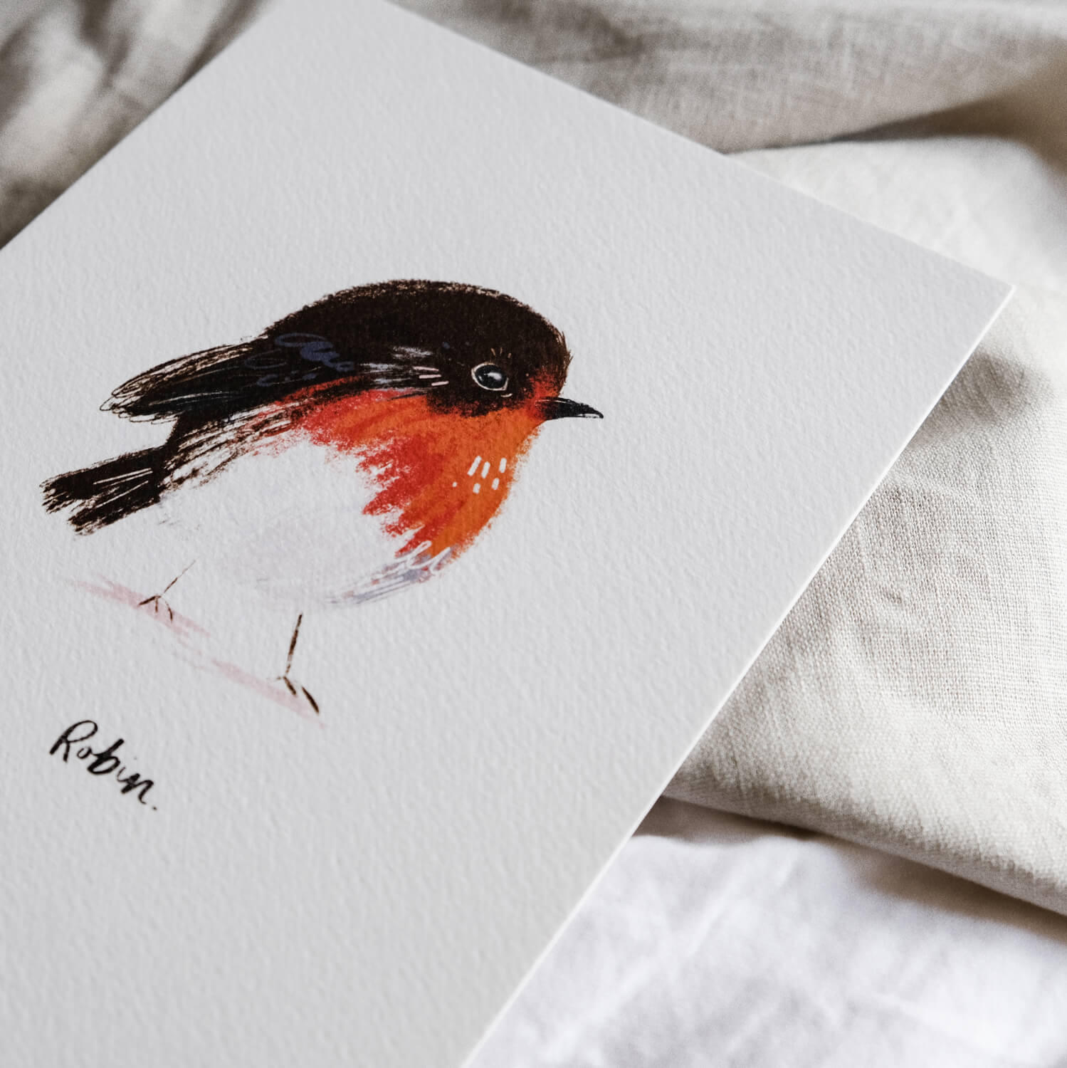 British Bird Robin Print