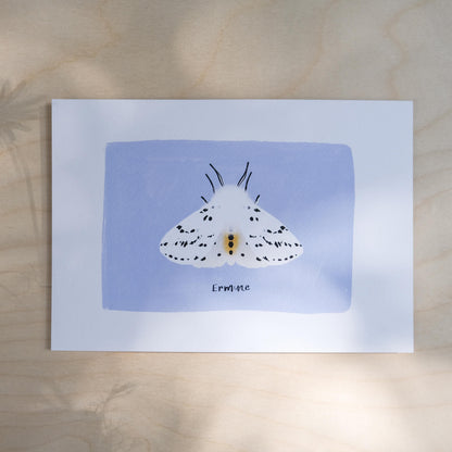Ermine Moth Print